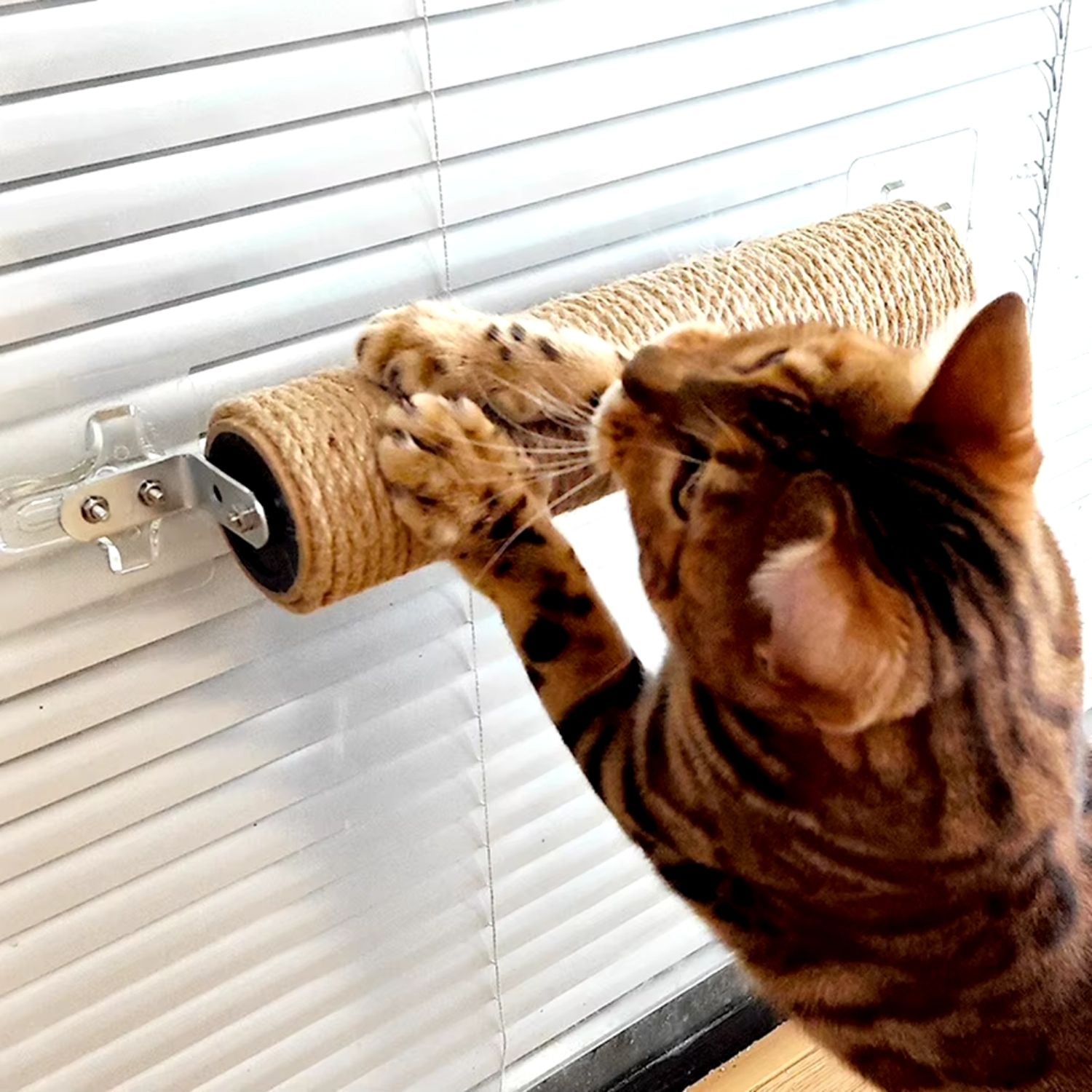 kat krabt op sisalvezelrol muurbevestigde krabpaal op vensterbank